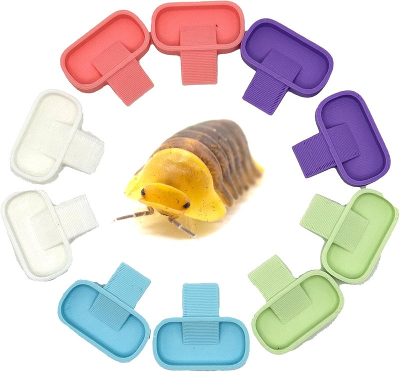CTWPets Store Isopod 10 Pack Feeding Dish | Isopod Food Tray | Insect Dish | Insect Feeder | (Pastel Tones) - Image 1